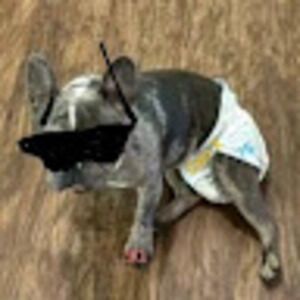 Meet your Posher, Jason